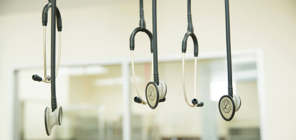 Veterinary Preventive Care - Loving Care Pet Hospital